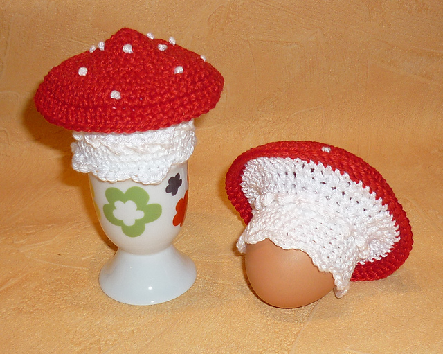 Fliegenpilz / Fly Agaric