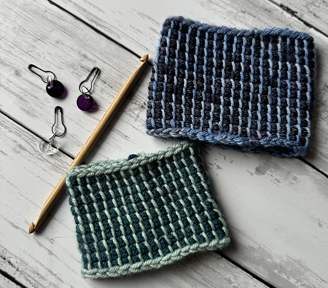 Tunisian in the Round Skill Builder Cozy