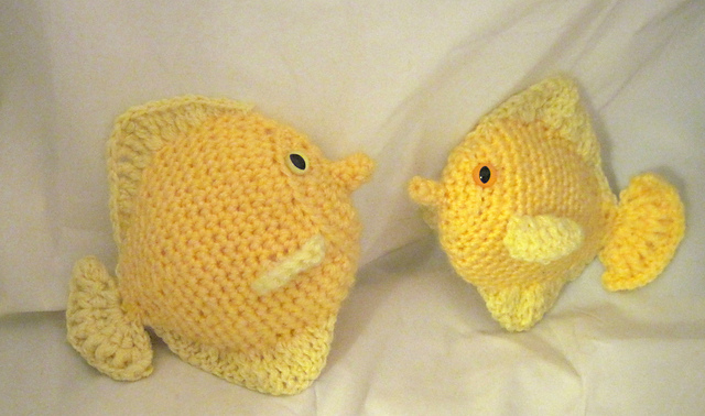 Yellow Tang