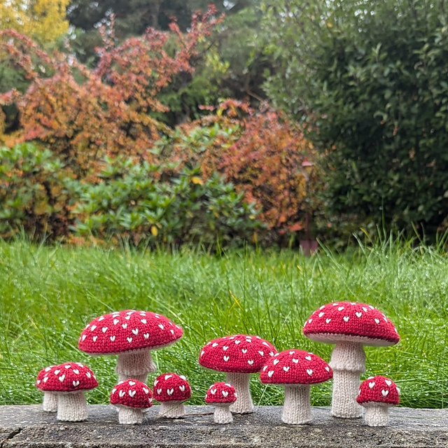 Amanita Muscaria