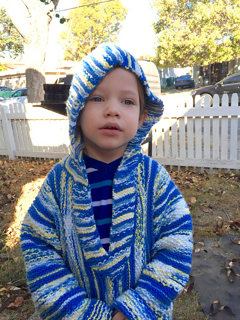 Hang Ten Hoodie