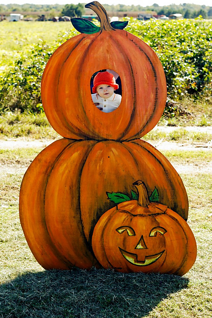 Crochet Pumpkin Hat