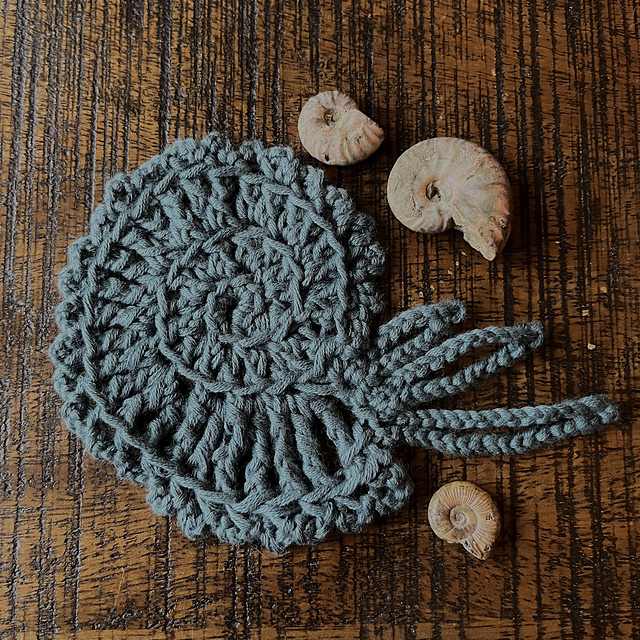 Ammonite Coaster