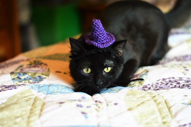 Witch Hat For Cats