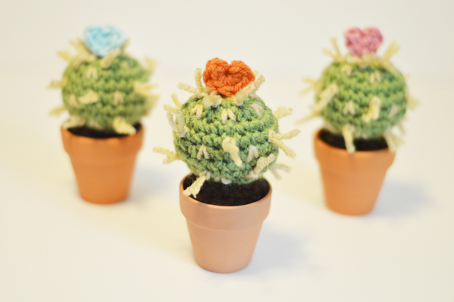 Mother's Day Cactus