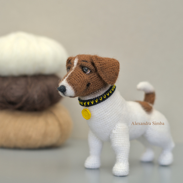 Jack Russell Terrier