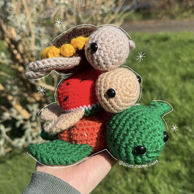 3-in-1 Turtle