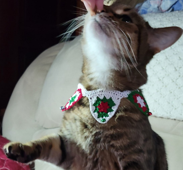 Ravelry Cat or Dog Collar pattern by Alice Terrell