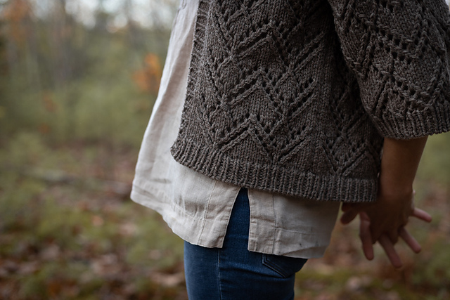 Ravelry: Garnered Cardi pattern by Alicia Plummer
