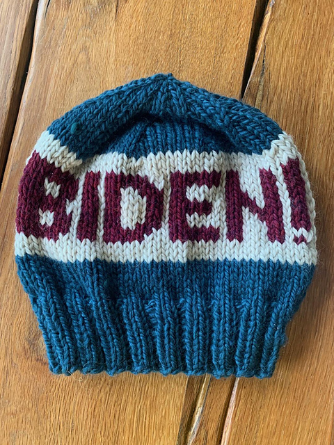 Get Out the Vote Hat
