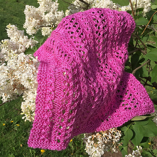 Kate's Snuffy (blanket / prayer shawl)