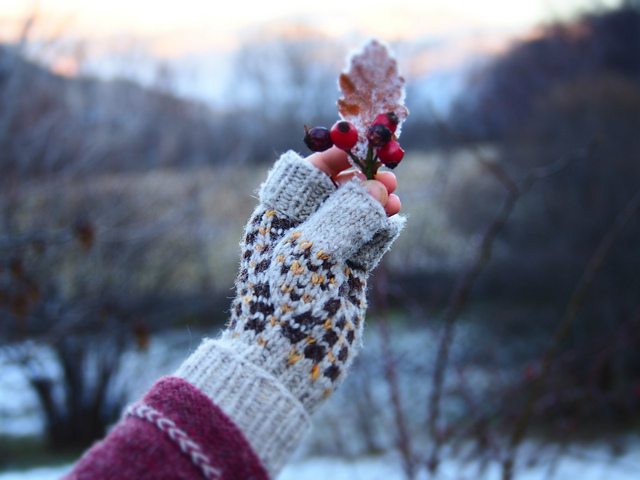 Nogal Mitts