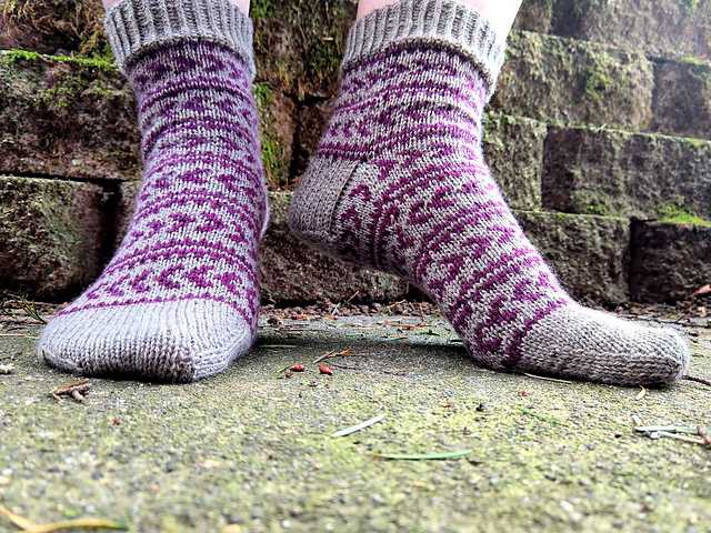 Scholarly Socks