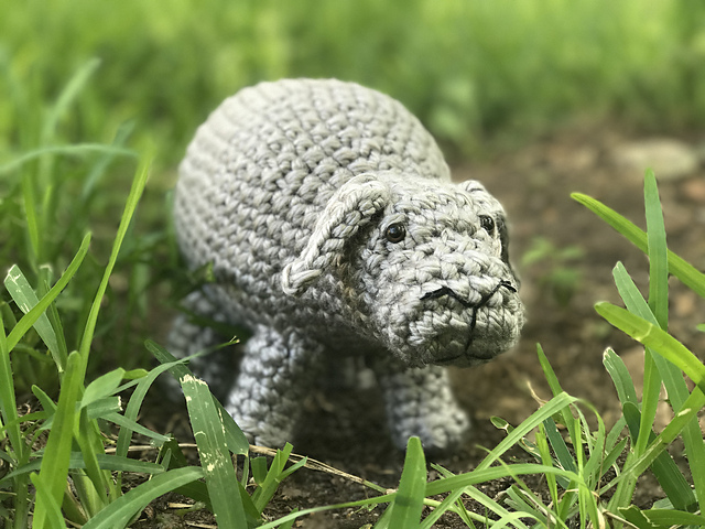 Okja the Super Pig
