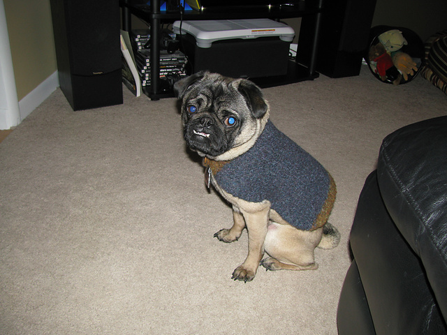 Doggie Mac