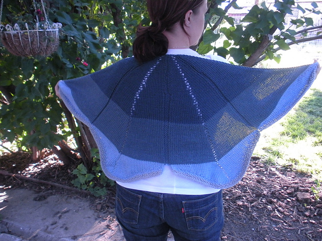 Butterfly Wing shawl