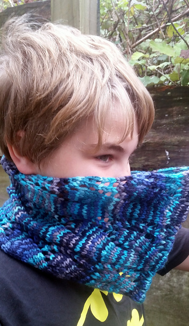 Owhiro Bay Cowl