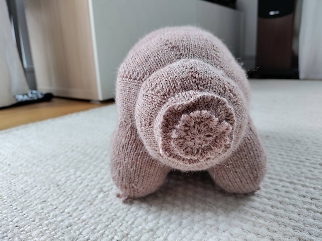 Steve the Tardigrade