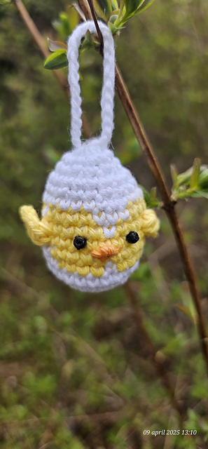 Chicken in egg for easter crisis