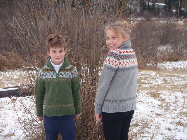 Lapp Fjord Cardigans