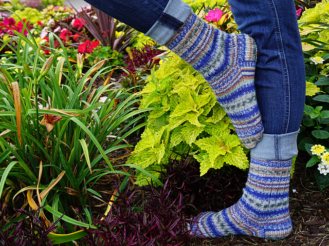 Beginner's Socks