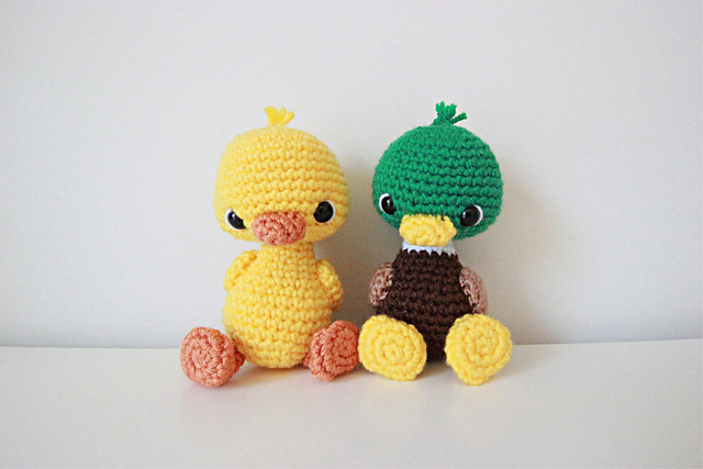 Duck