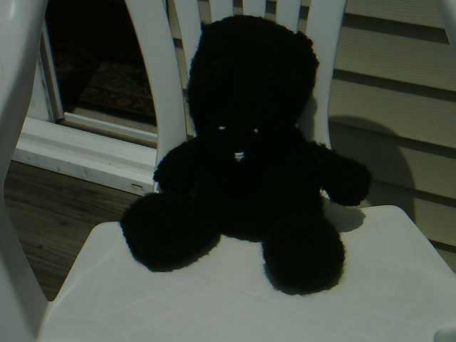 Fluffy Black Teddy Bear