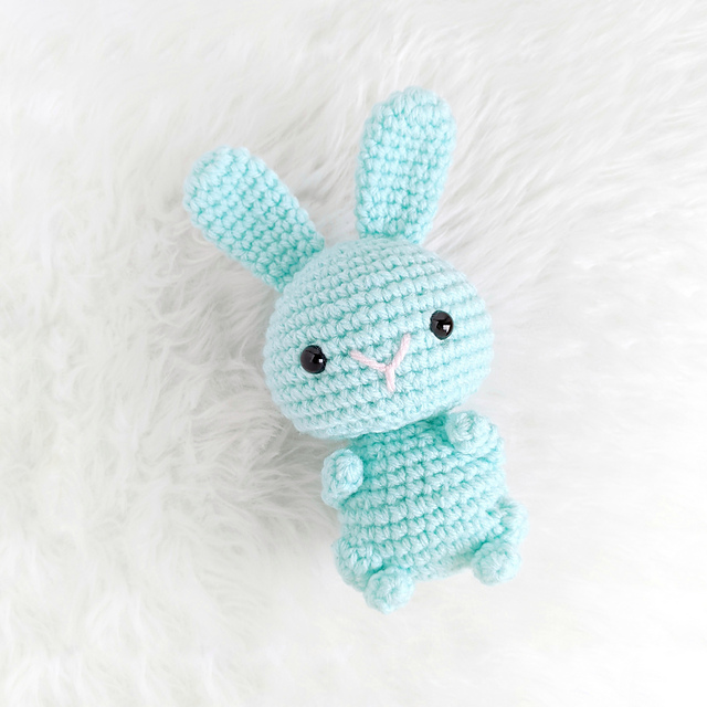 Mini Bunny Rabbit