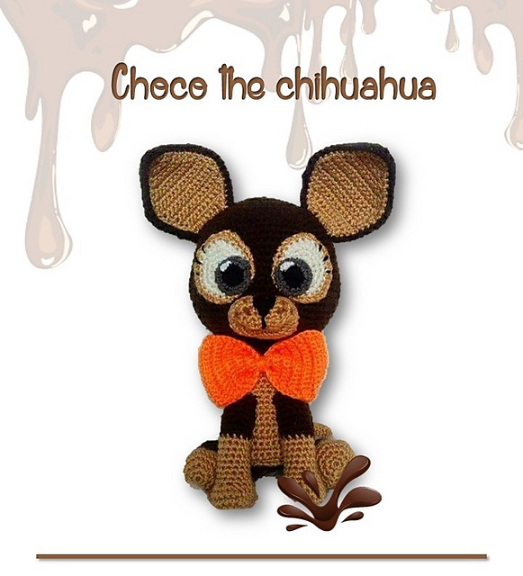 Choco the chihuahua