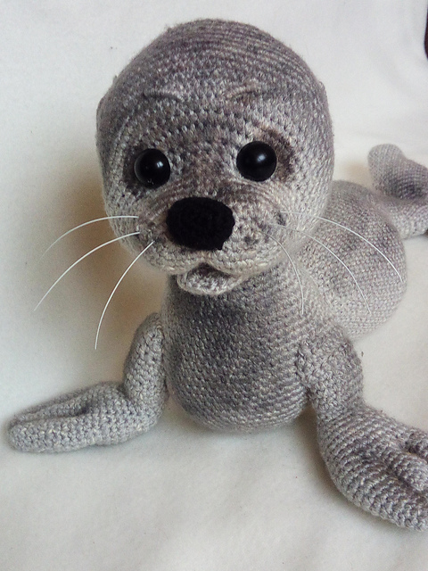 Baby seal