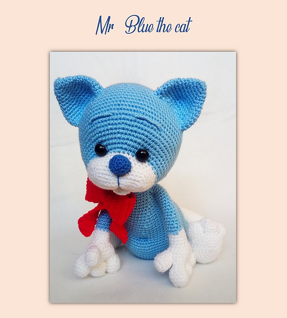 Mr Blue the cat