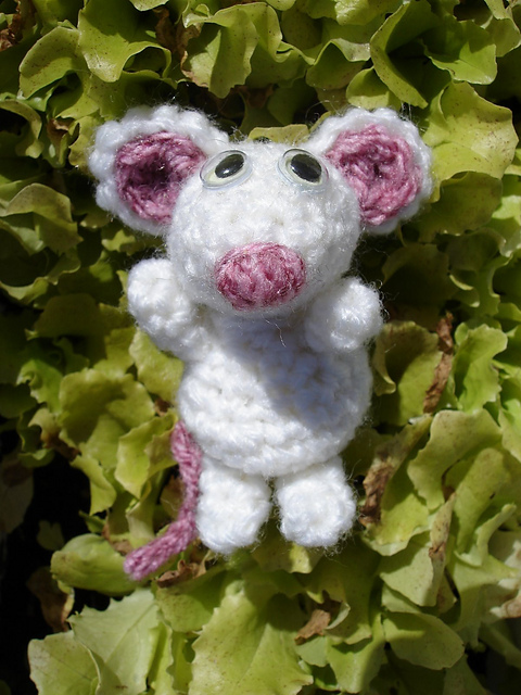 Mouse