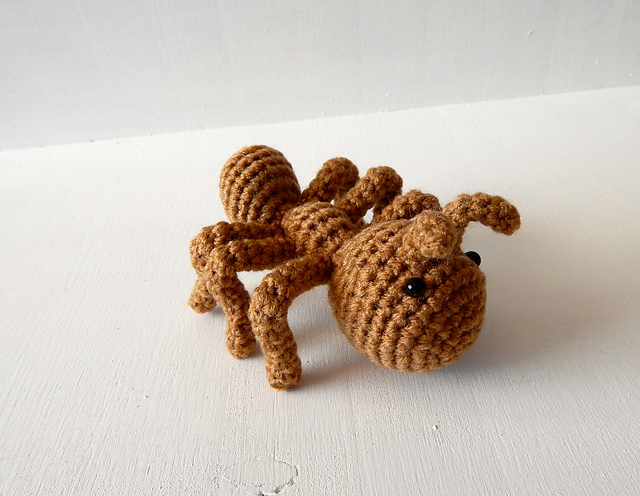 Ant