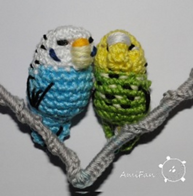 Parkiet, bird