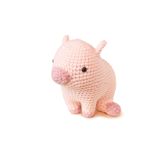 Lygia Pig