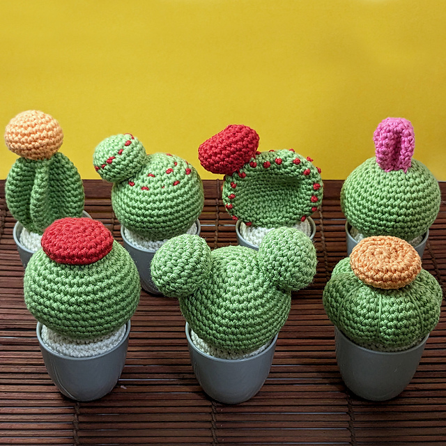 Cactus Set