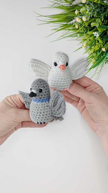 Pigeon and Dove 2 in 1