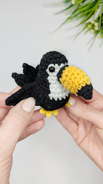 Toucan