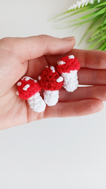 Little mushroom