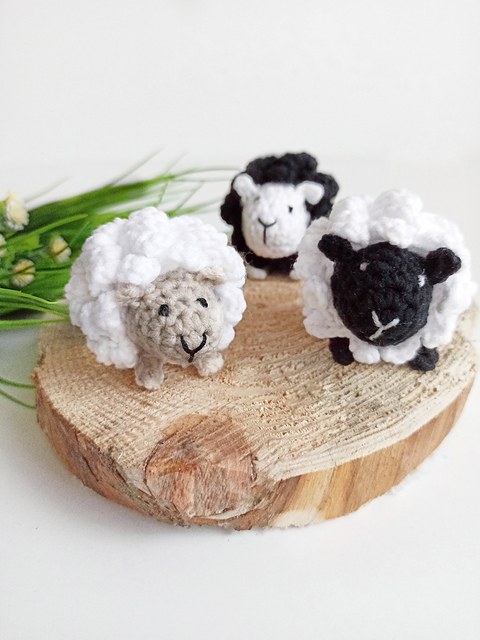 Sheep
