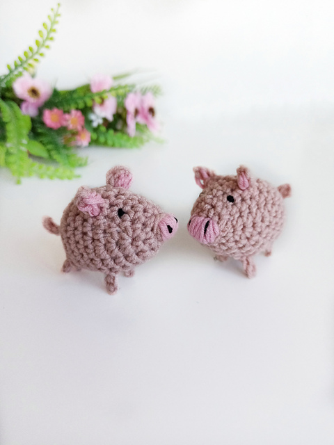 Tiny Pig