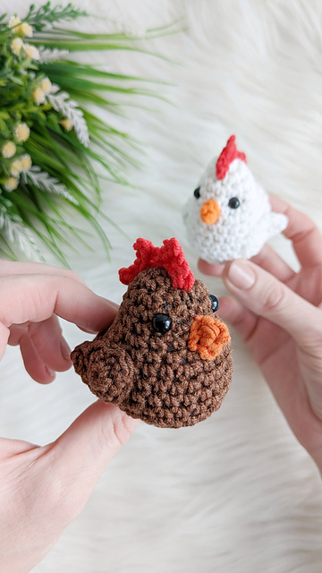 Chicken