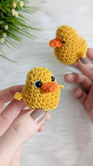 Duck