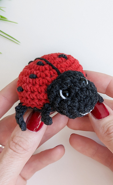 Ladybug