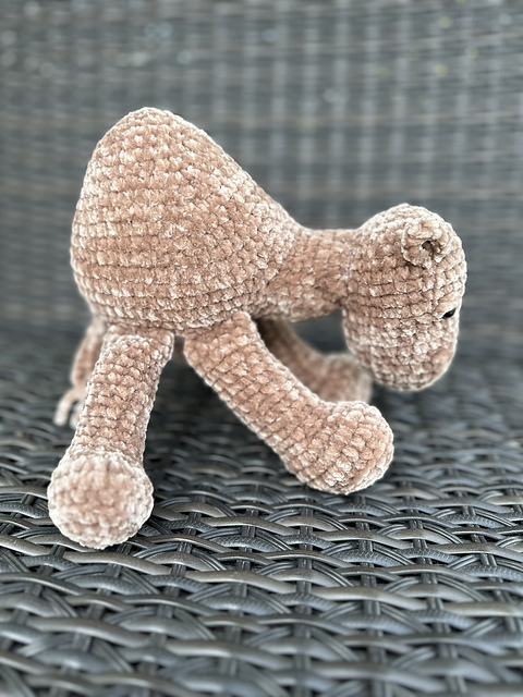 Humphrey the Camel