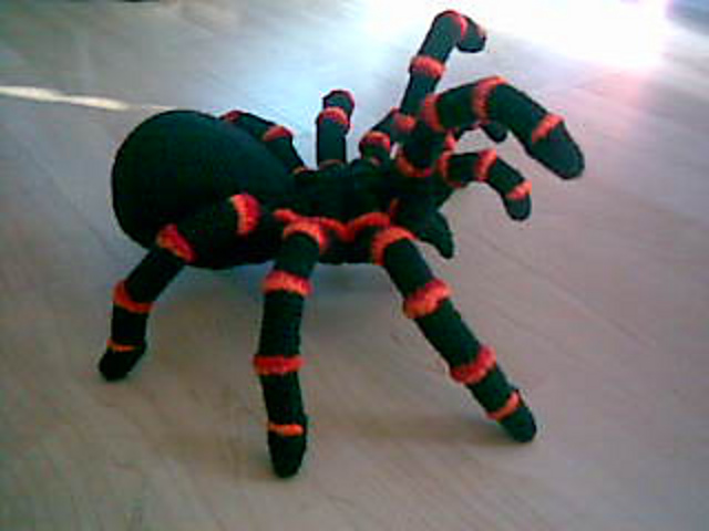 Red Knee Spider