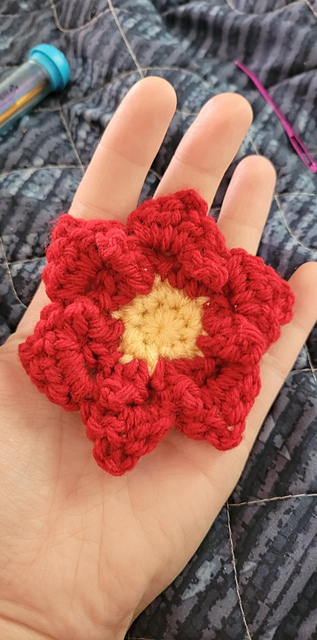 Poinsettia