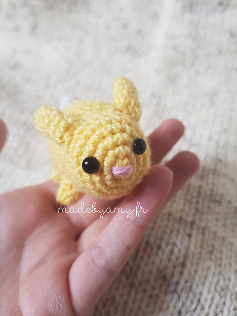 Petit Lapinou