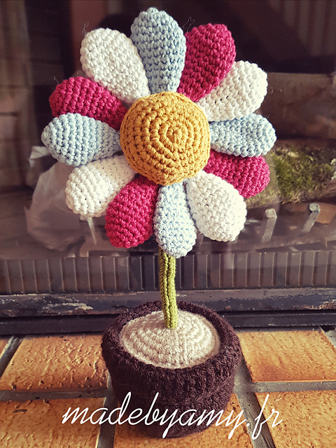 La fleur en pot