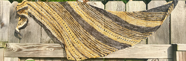 City of Champions Shawl